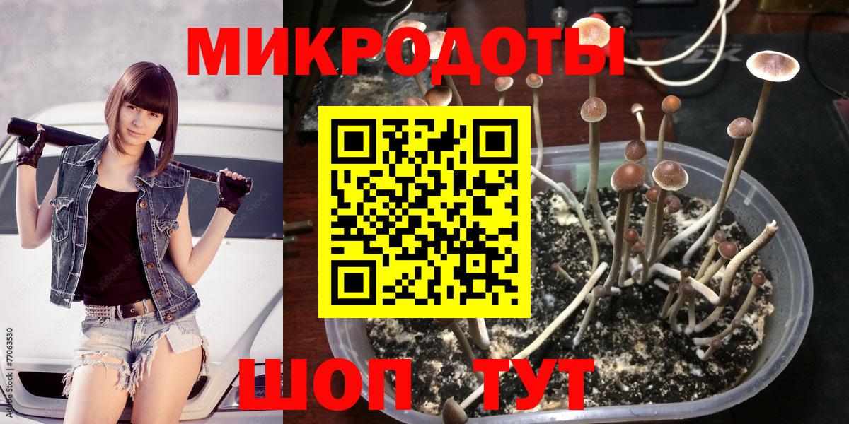 Псилоцибиновые грибы Psilocybine cubensis  Вход с VPN  Аргун 