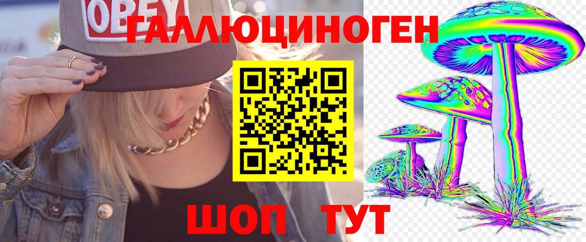 Псилоцибиновые грибы GOLDEN TEACHER Аргун