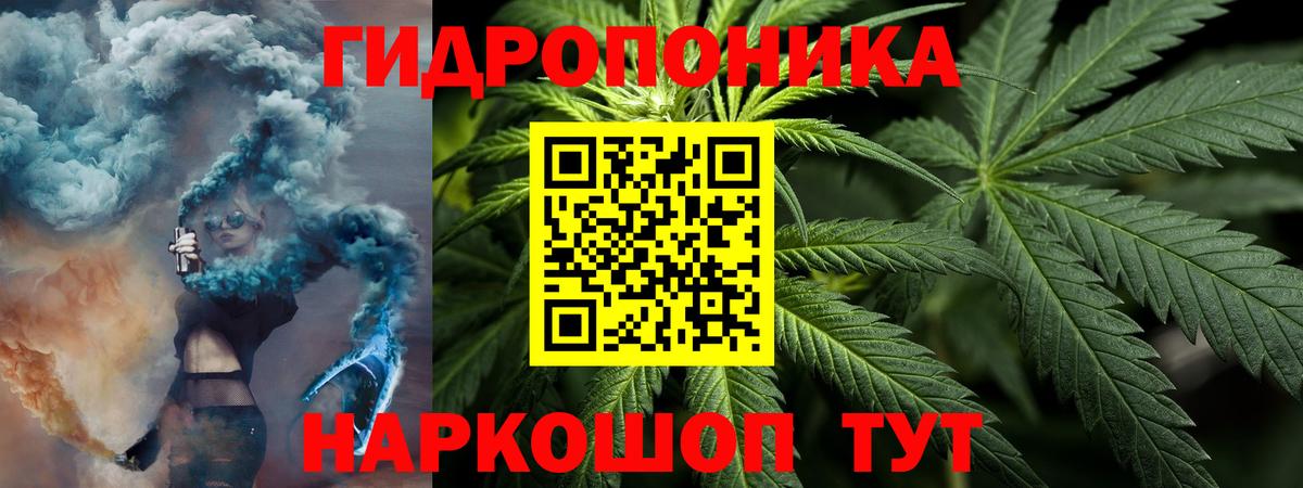 Конопля Bruce Banner  Марихуана Bruce Banner  Вход с VPN  Аргун  Конопля Bruce Banner 
